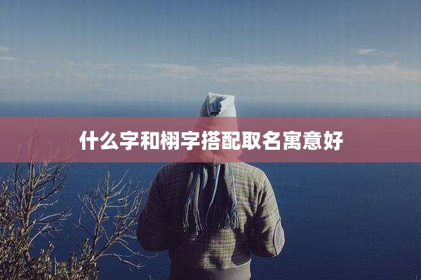 什么字和栩字搭配取名寓意好
