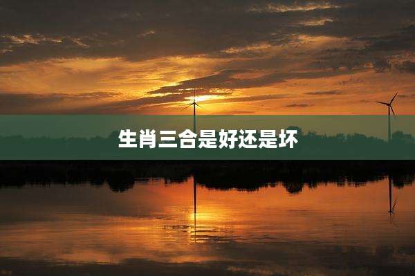 生肖三合是好还是坏