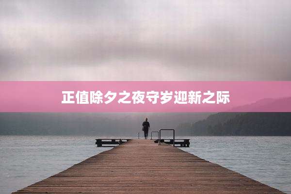 正值除夕之夜守岁迎新之际