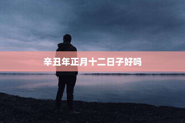 辛丑年正月十二日子好吗