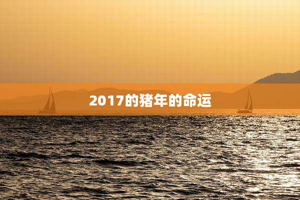2017的猪年的命运