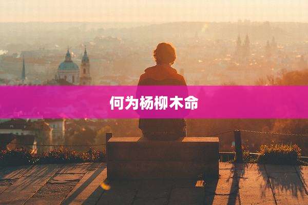 何为杨柳木命