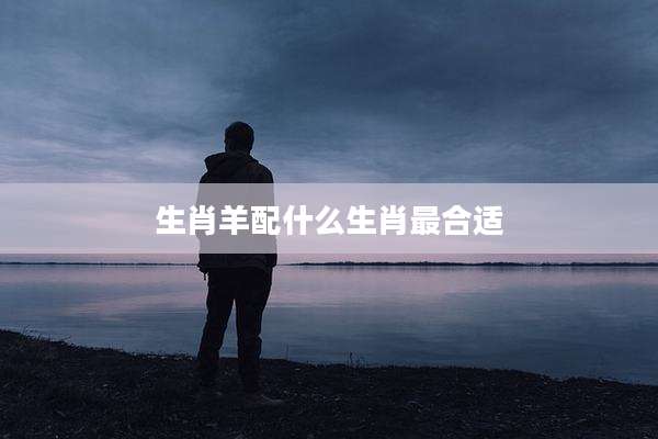 生肖羊配什么生肖最合适
