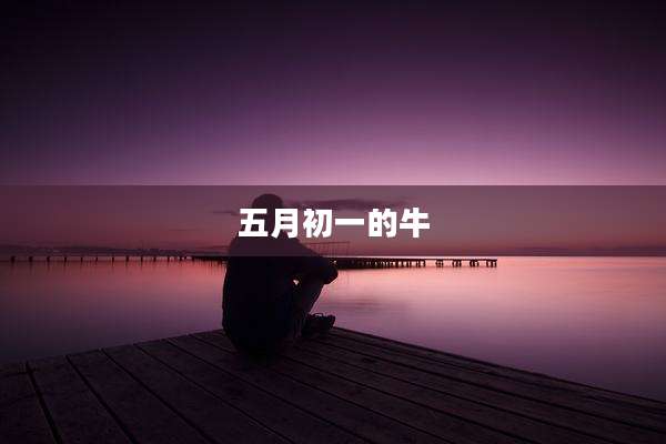 五月初一的牛