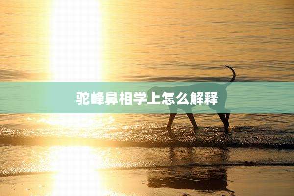 驼峰鼻相学上怎么解释