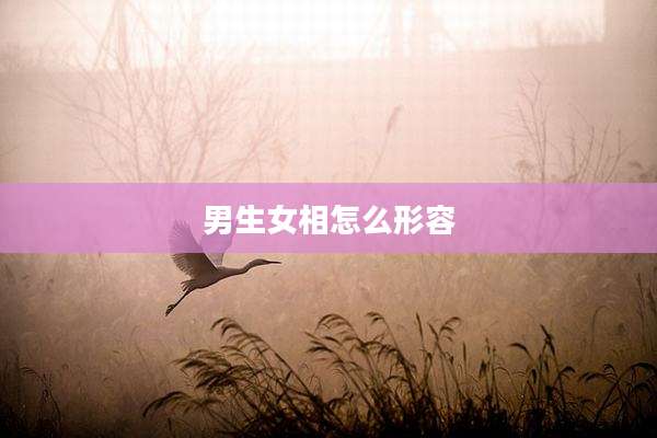 男生女相怎么形容