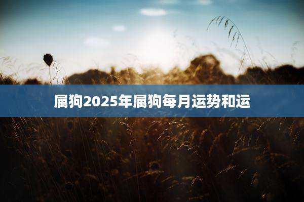 属狗2025年属狗每月运势和运
