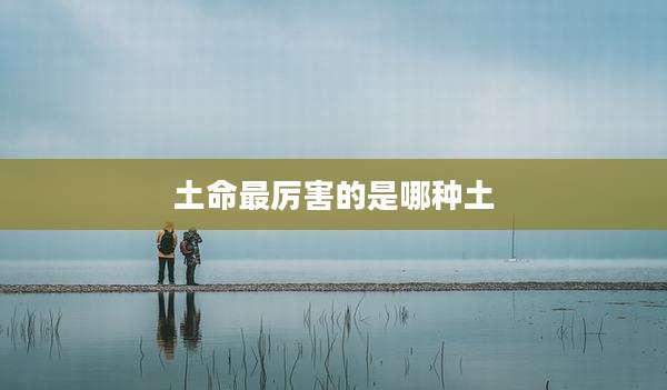 土命最厉害的是哪种土