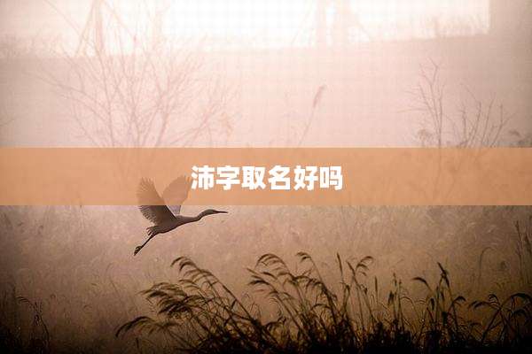 沛字取名好吗