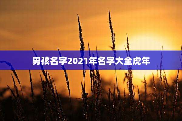 男孩名字2021年名字大全虎年