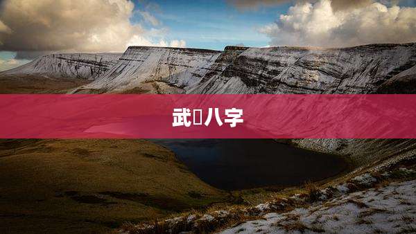 武曌八字