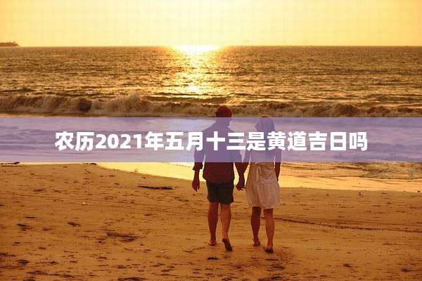 农历2021年五月十三是黄道吉日吗
