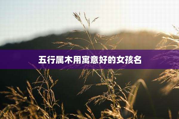 五行属木用寓意好的女孩名