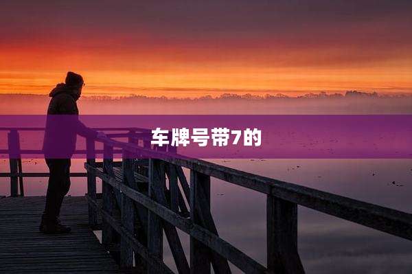 车牌号带7的