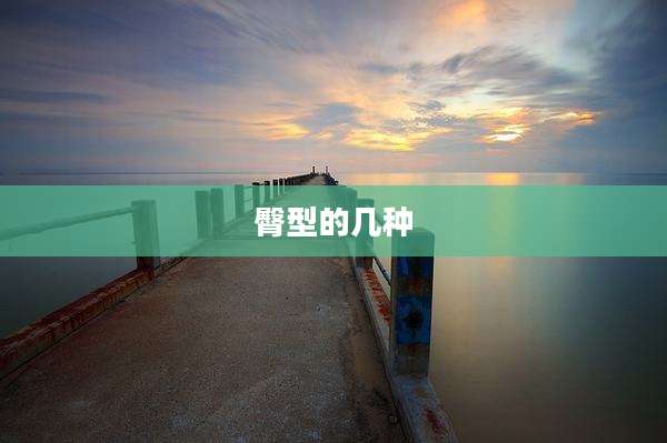 臀型的几种