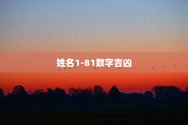 姓名1-81数字吉凶