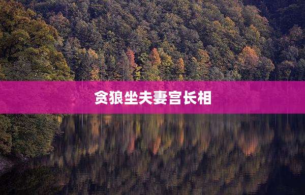 贪狼坐夫妻宫长相