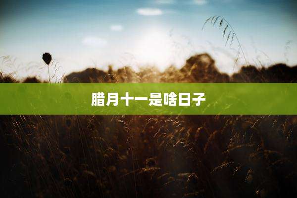 腊月十一是啥日子