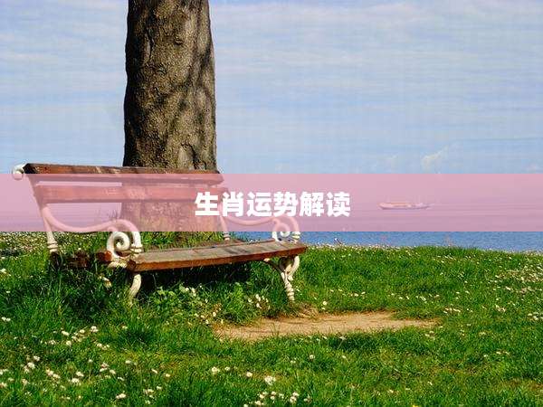 生肖运势解读