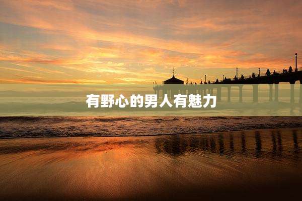 有野心的男人有魅力
