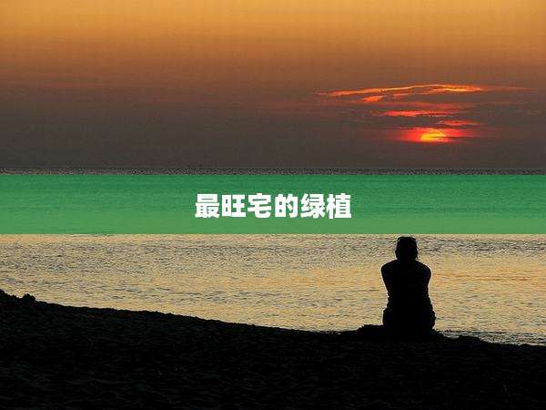最旺宅的绿植