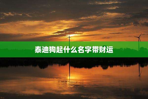 泰迪狗起什么名字带财运