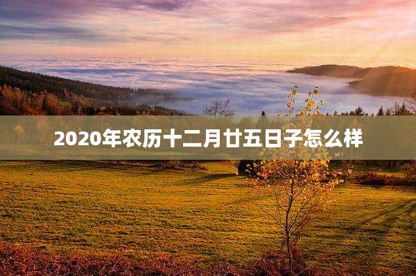 2020年农历十二月廿五日子怎么样