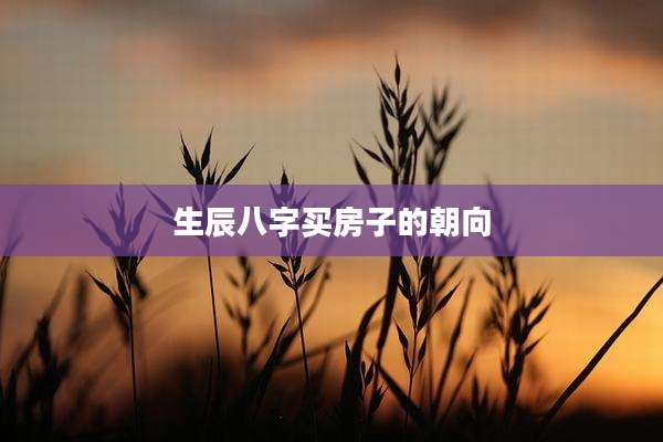 生辰八字买房子的朝向