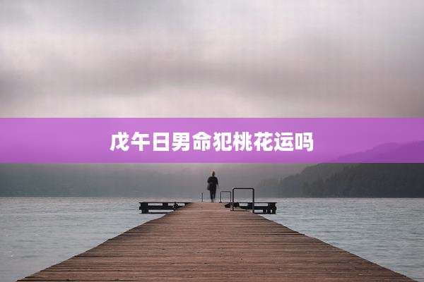 戊午日男命犯桃花运吗
