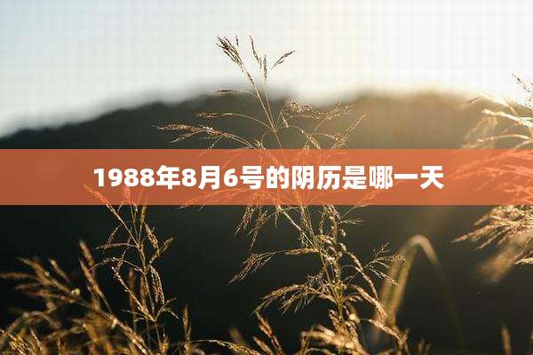 1988年8月6号的阴历是哪一天