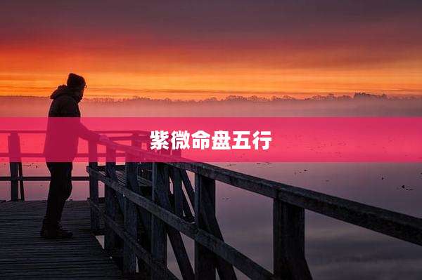 紫微命盘五行