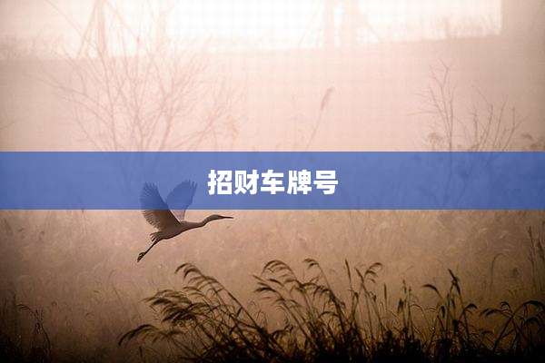 招财车牌号