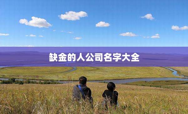 缺金的人公司名字大全