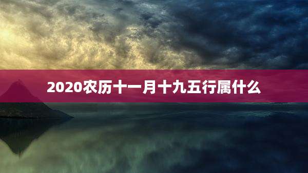 2020农历十一月十九五行属什么