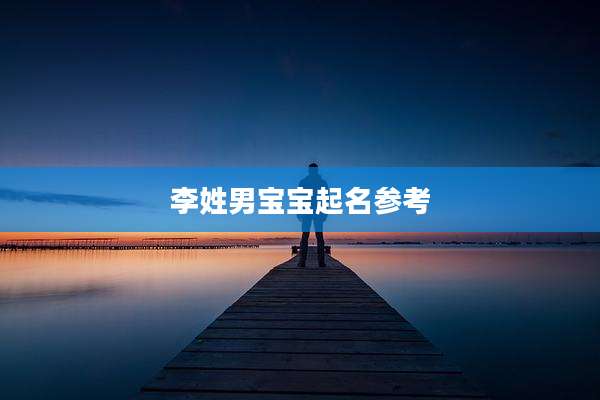李姓男宝宝起名参考