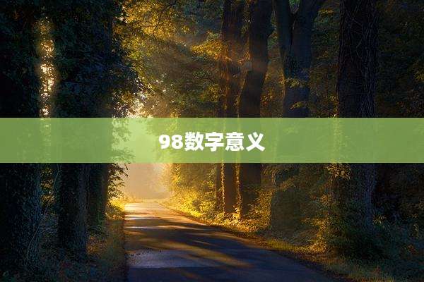 98数字意义