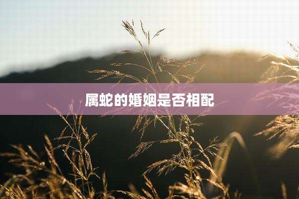 属蛇的婚姻是否相配