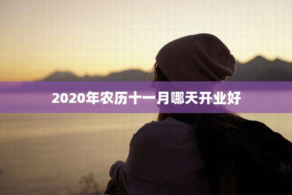 2020年农历十一月哪天开业好