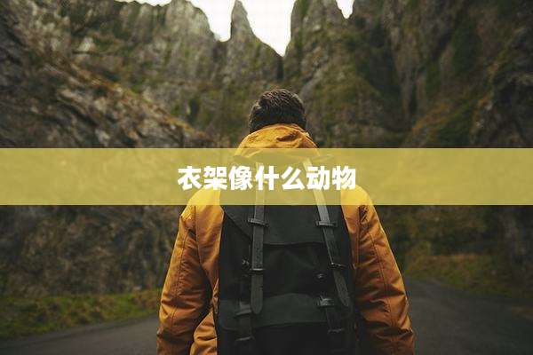 衣架像什么动物