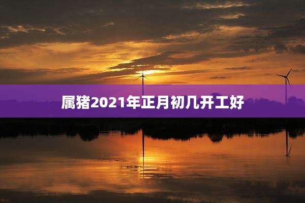 属猪2021年正月初几开工好