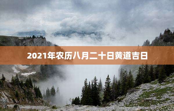 2021年农历八月二十日黄道吉日