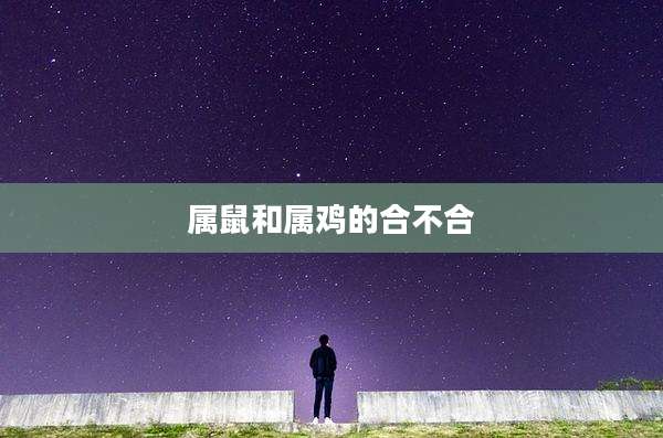 属鼠和属鸡的合不合