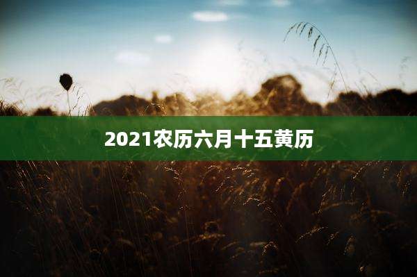 2021农历六月十五黄历