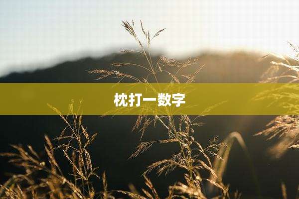 枕打一数字