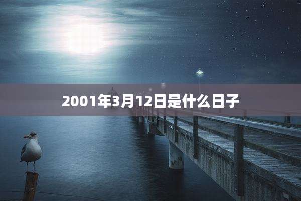 2001年3月12日是什么日子