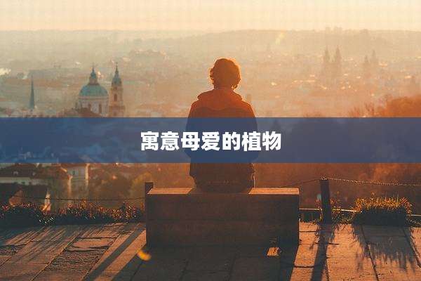 寓意母爱的植物