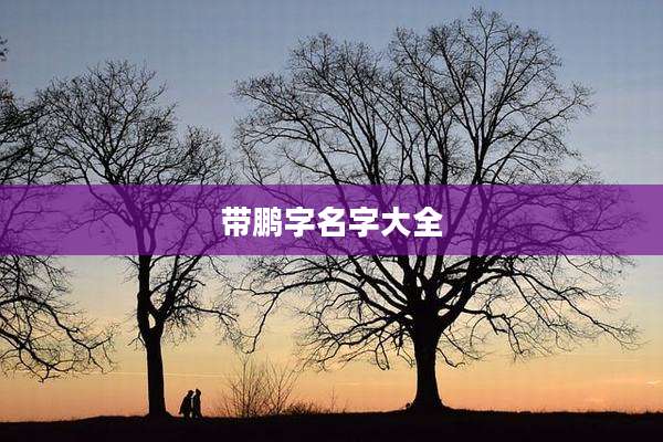 带鹏字名字大全