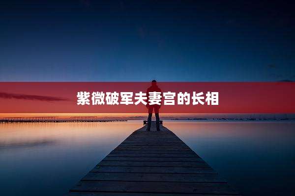 紫微破军夫妻宫的长相