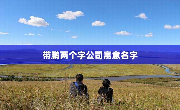 带鹏两个字公司寓意名字