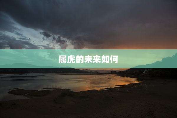 属虎的未来如何
